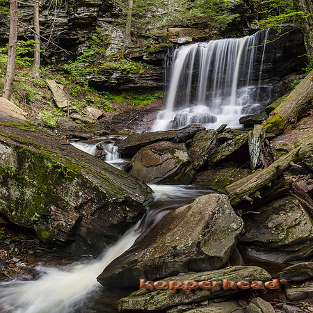 40060 06 2019 Kopperhead