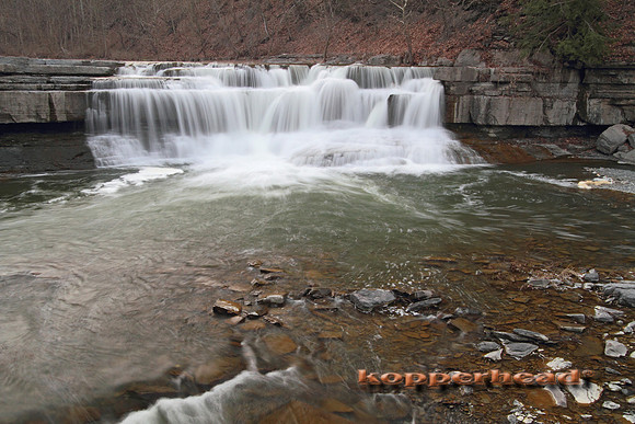 03011x 04 2010 Kopperhead