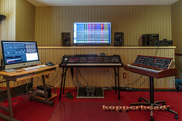 52506 06 2016 Kopperhead