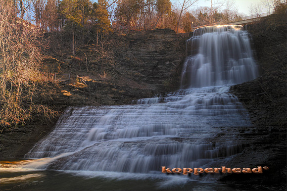 02497hx 04 2010 Kopperhead
