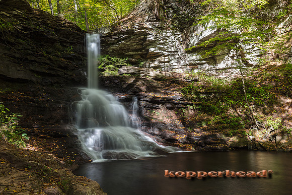00253 10 2016 Kopperhead