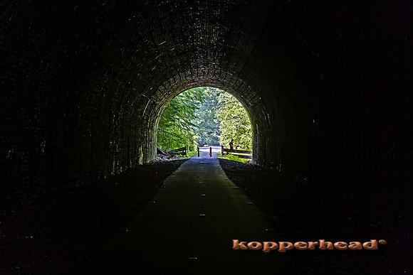 46233h 05 2012 Kopperhead