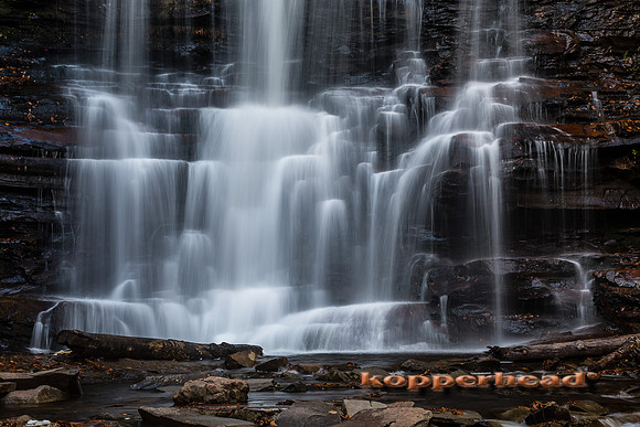 27135 10 2014 Kopperhead