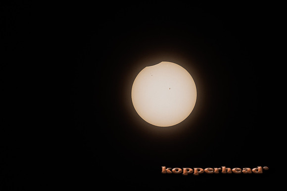 83931 04 2024 Kopperhead