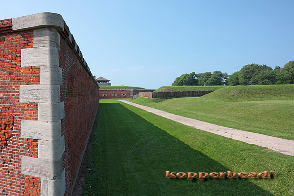 07390x 07 2008 Kopperhead