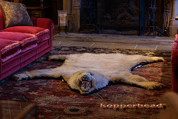 48959 08 2022 Kopperhead