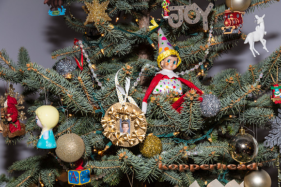 00560 12 2016 Kopperhead