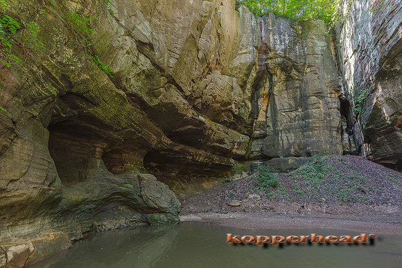 06992 06 2017 Kopperhead