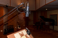 04012 03 2020 Kopperhead