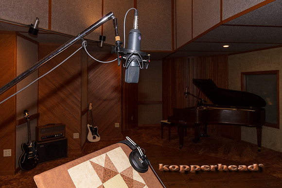 04012 03 2020 Kopperhead