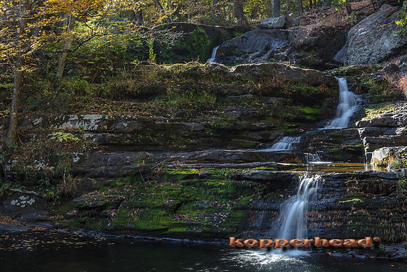00631 10 2016 Kopperhead