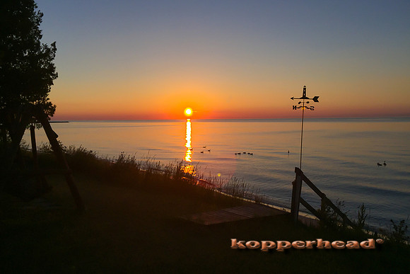 02577 iP6+ 07 2016 Kopperhead
