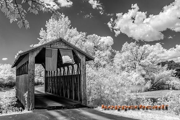 69555ir 07 2016 Kopperhead