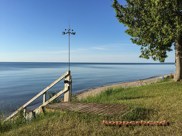 02554 iP6+ 07 2016 Kopperhead