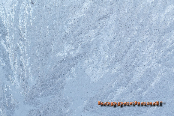 47634 01 2016 Kopperhead