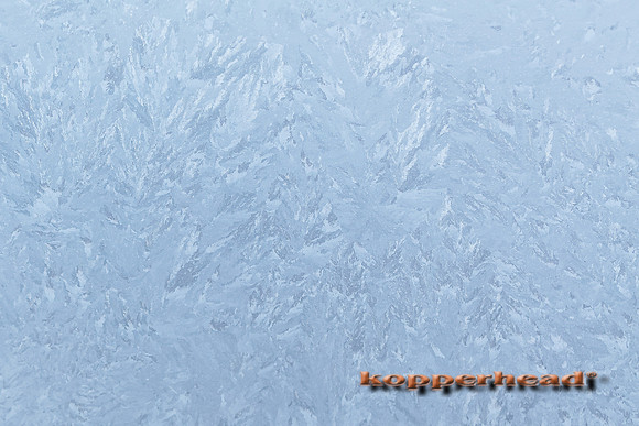 47637 01 2016 Kopperhead