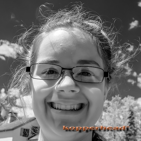 69587ir 07 2016 Kopperhead