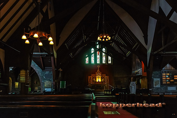 23537h 07 2014 Kopperhead