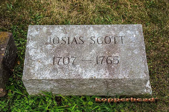 25484 08 2014 Kopperhead