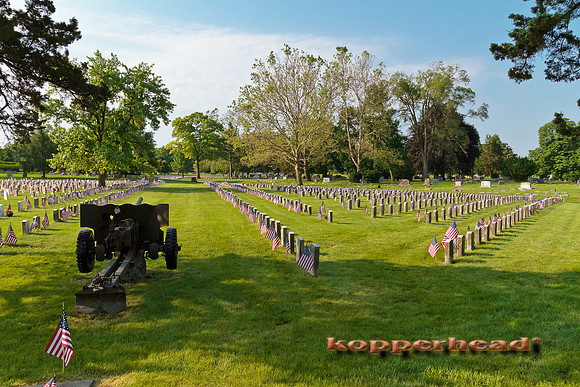28769 05 2011 Kopperhead