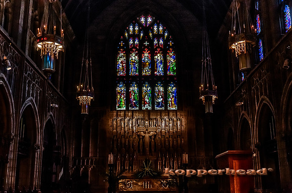 18555h 04 2014 Kopperhead