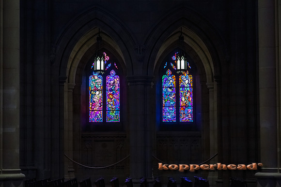 21559 06 2014 Kopperhead
