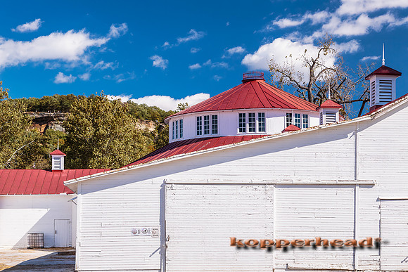 12730 10 2013 Kopperhead