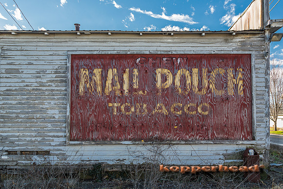 46046 12 2015 Kopperhead