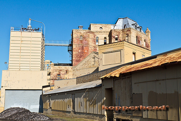 19174 03 2011 Kopperhead