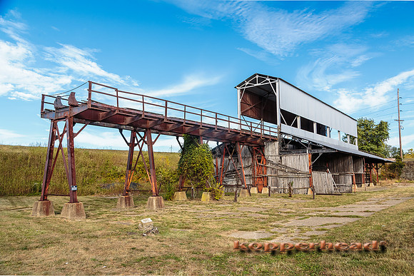26308 09 2014 Kopperhead