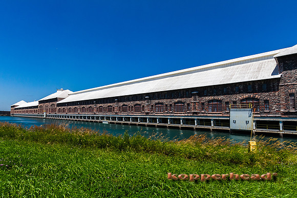50325 07 2012 Kopperhead