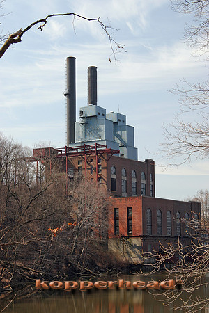 11125x 04 2006 Kopperhead