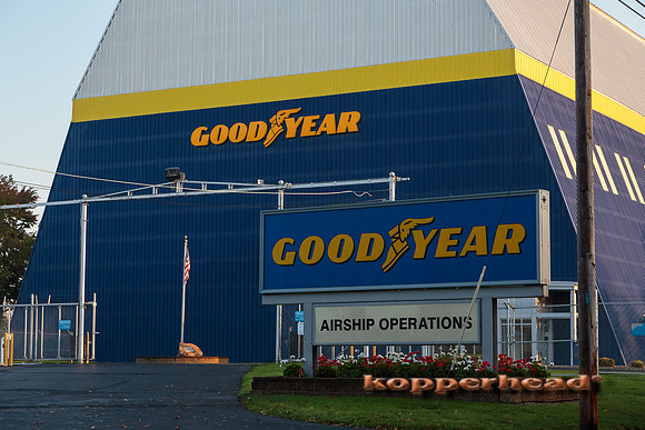12350 10 2013 Kopperhead