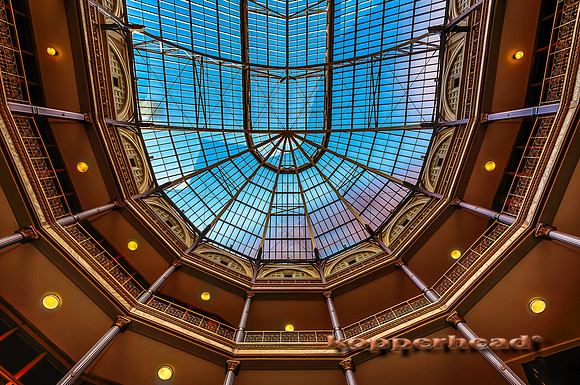 18422h 04 2014 Kopperhead