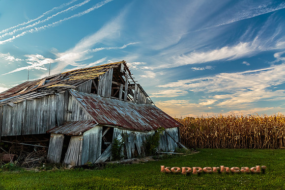 26321 09 2014 Kopperhead