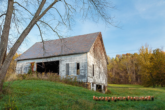 63732 10 2016 Kopperhead