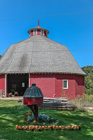 24655h 08 2014 Kopperhead