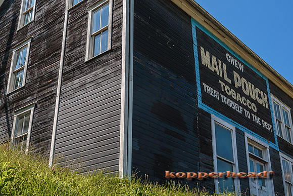 24594 08 2014 Kopperhead