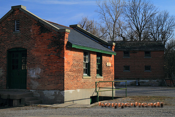 02467x 04 2010 Kopperhead