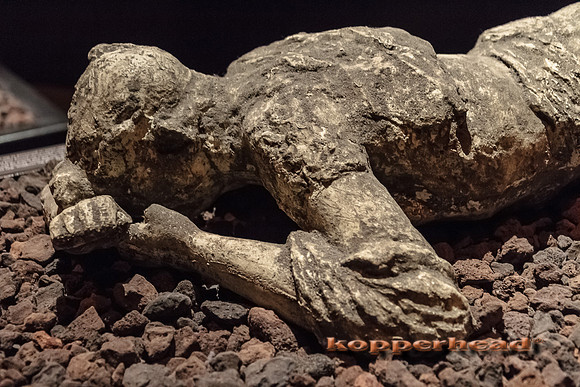 49752 07 2012 Kopperhead