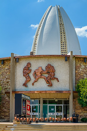 49224h 07 2012 Kopperhead