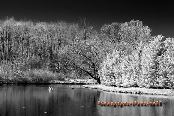 69229ir 04 2016 Kopperhead-2