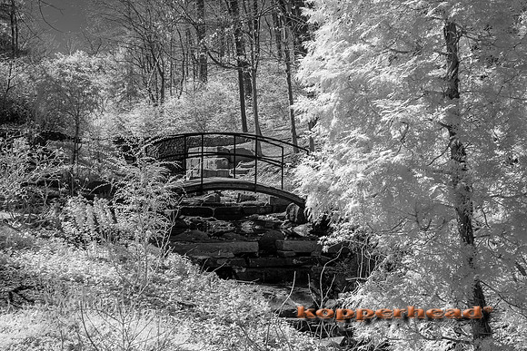 69217ir 04 2016 Kopperhead