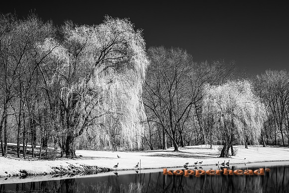 69231ir 04 2016 Kopperhead