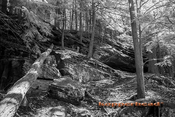 69265ir 04 2016 Kopperhead