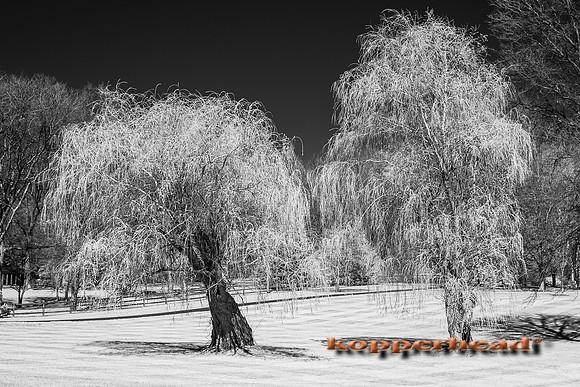 69233ir 04 2016 Kopperhead