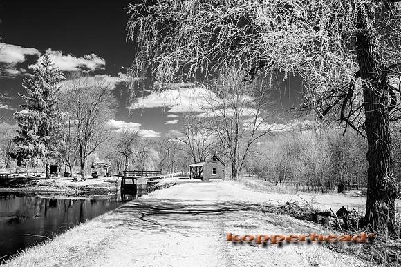 69162bw 04 2016 Kopperhead