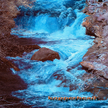 69309ir 04 2016 Kopperhead