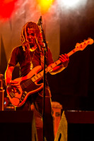 32294 07 2011 Kopperhead