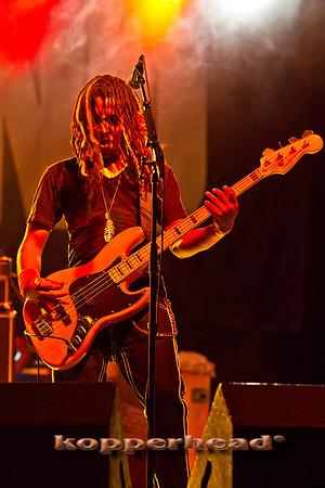 32294 07 2011 Kopperhead